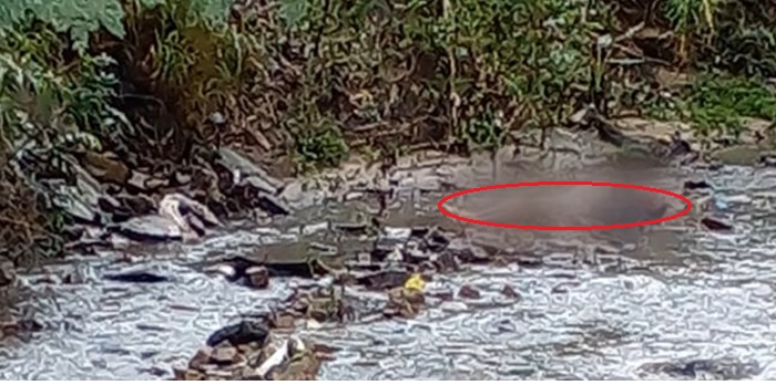 Imagem editada para preservar a identidade da vÃ­tima