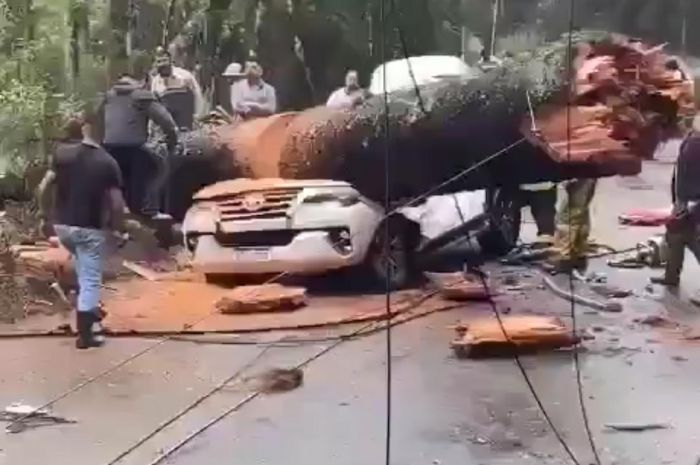 Uma pessoa morre e outras duas ficam feridas apÃ³s Ã¡rvore cair em cima de um carro em Campos do JordÃ£o. 