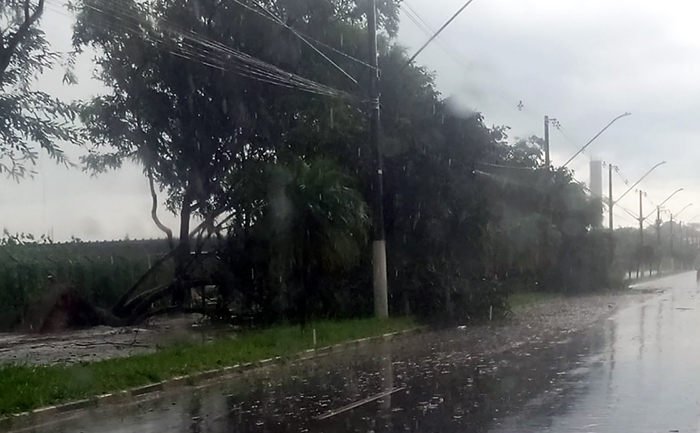 Trecho do Anel Viario