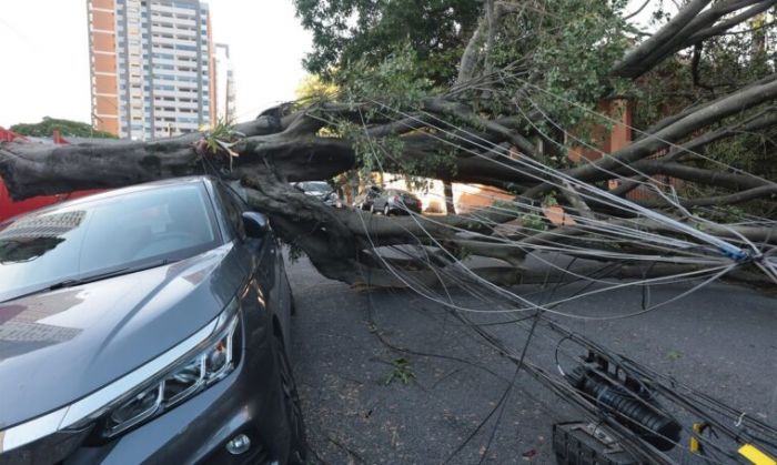 Mais de 30 mil clientes seguem sem energia após ventania em São Paulo e região metropolitana