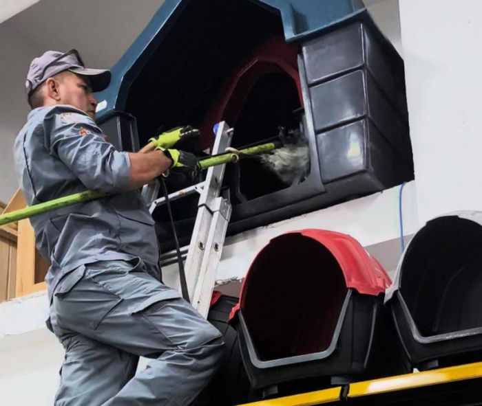 Gambá invade estabelecimento comercial e é capturado pelos Bombeiros em Ubatuba