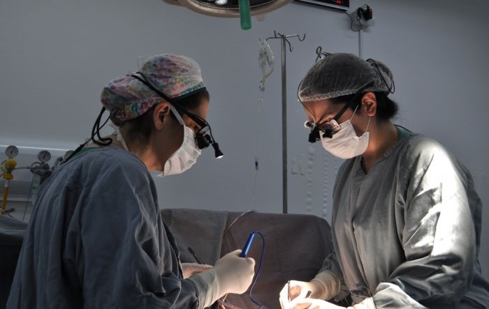 Hospital Regional de Taubaté realiza primeira captação infantil de coração do ano