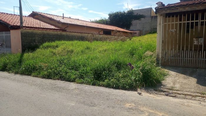 Prefeitura de Pindamonhangaba notifica 755 proprietários por falta de limpeza de terrenos e imóveis abandonados