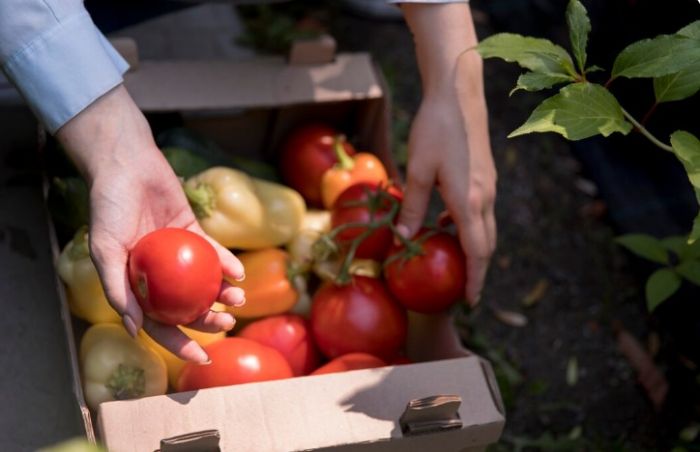 Pindamonhangaba registra menor volume de chuvas dos últimos 11 anos em 2025