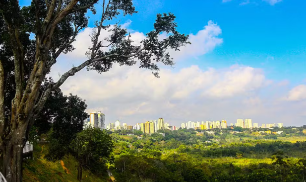 Fim de semana terá neblina pela manhã e tardes de sol no Vale do Paraíba