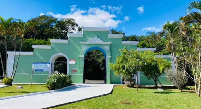 Taubaté promove roda de conversa sobre produção de mudas nativas e recuperação ambiental