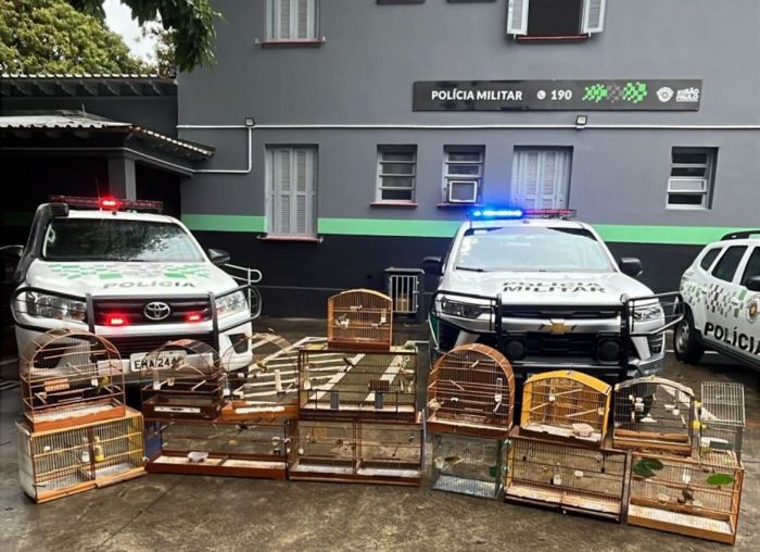 Morador é multado em R$ 8,5 mil por manter aves silvestres em cativeiro em São José dos Campos