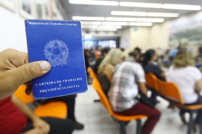 redação