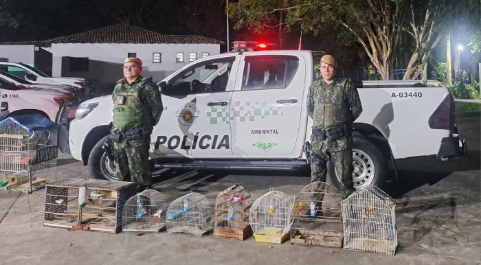 Polícia Ambiental resgata 10 aves mantidas em cativeiro irregular em São José dos Campos