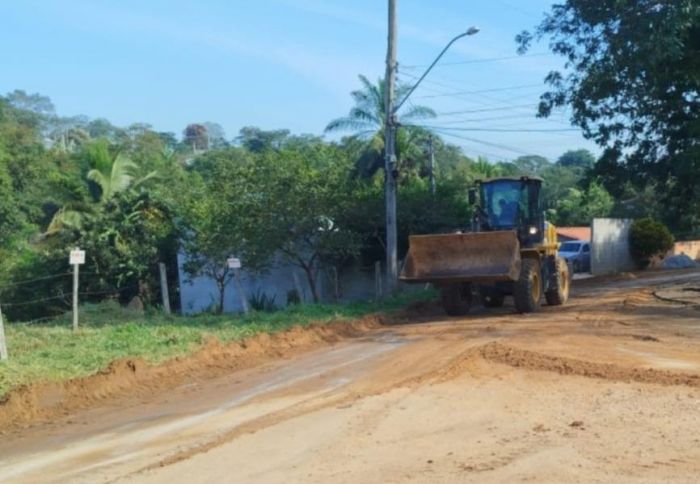 redação