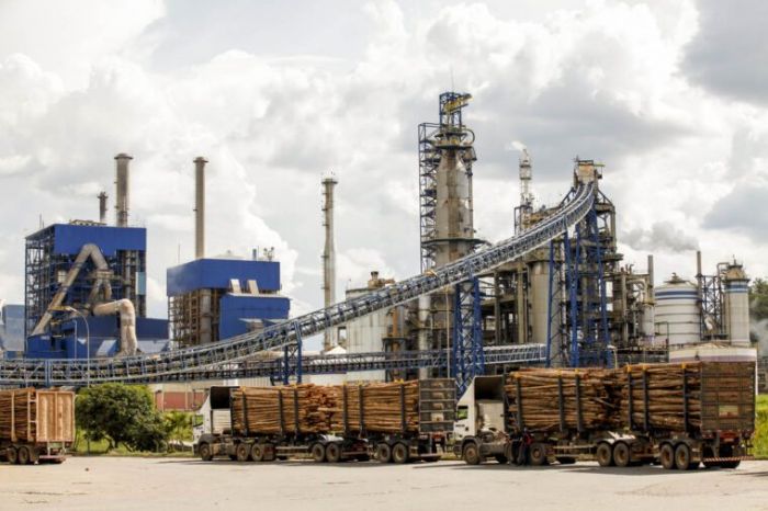 Suzano registra recorde histórico de vendas de celulose e lucro de R$ 4,3 bilhões no primeiro trimestre de 2026