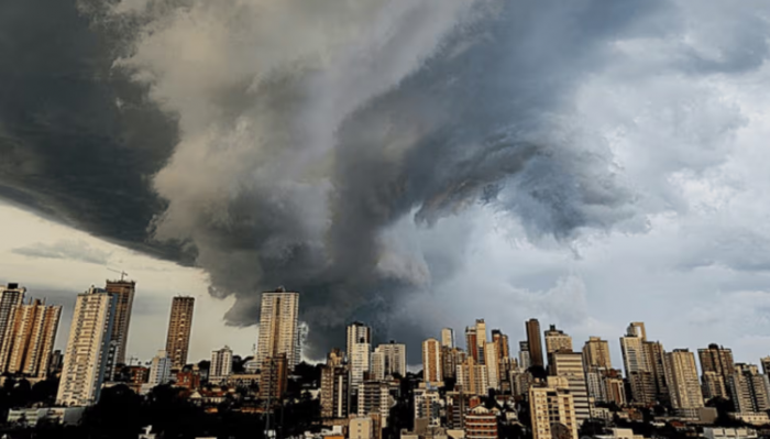 redação