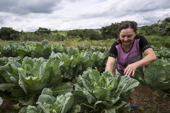 Agricultoras ampliam renda e conquistam autonomia no campo com projetos de irrigação