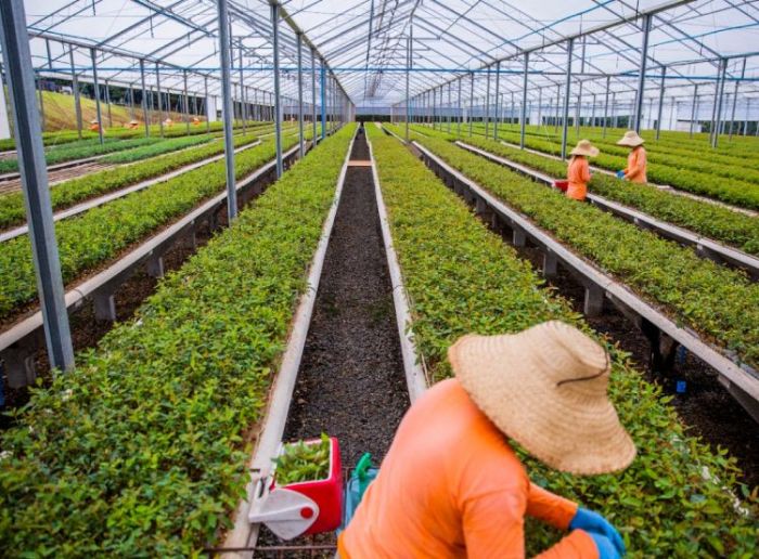 Projetos da Suzano ampliam participação feminina e capacitam mais de 750 mulheres no setor florestal