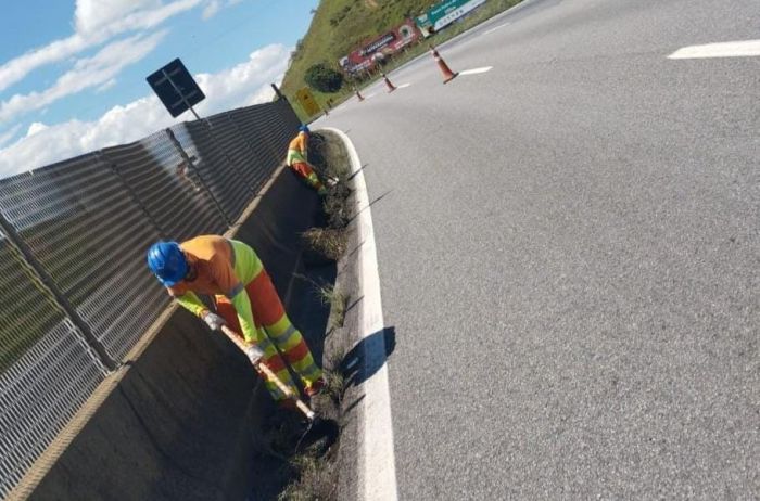 Serviços de manutenção na Via Dutra podem causar interdições de faixa nesta segunda-feira (16)